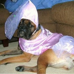 Meet your Posher, Laraine